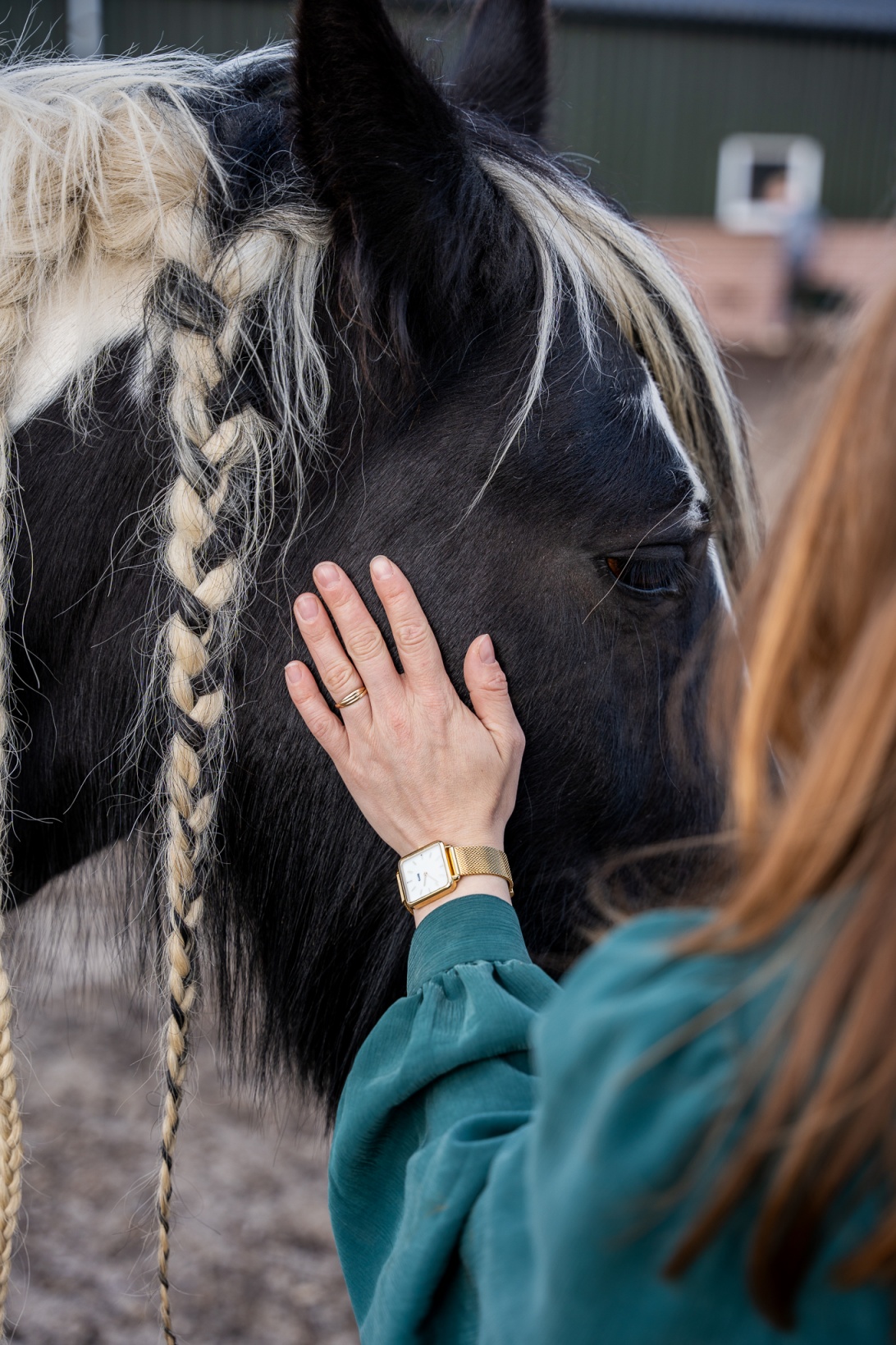 paarden therapie