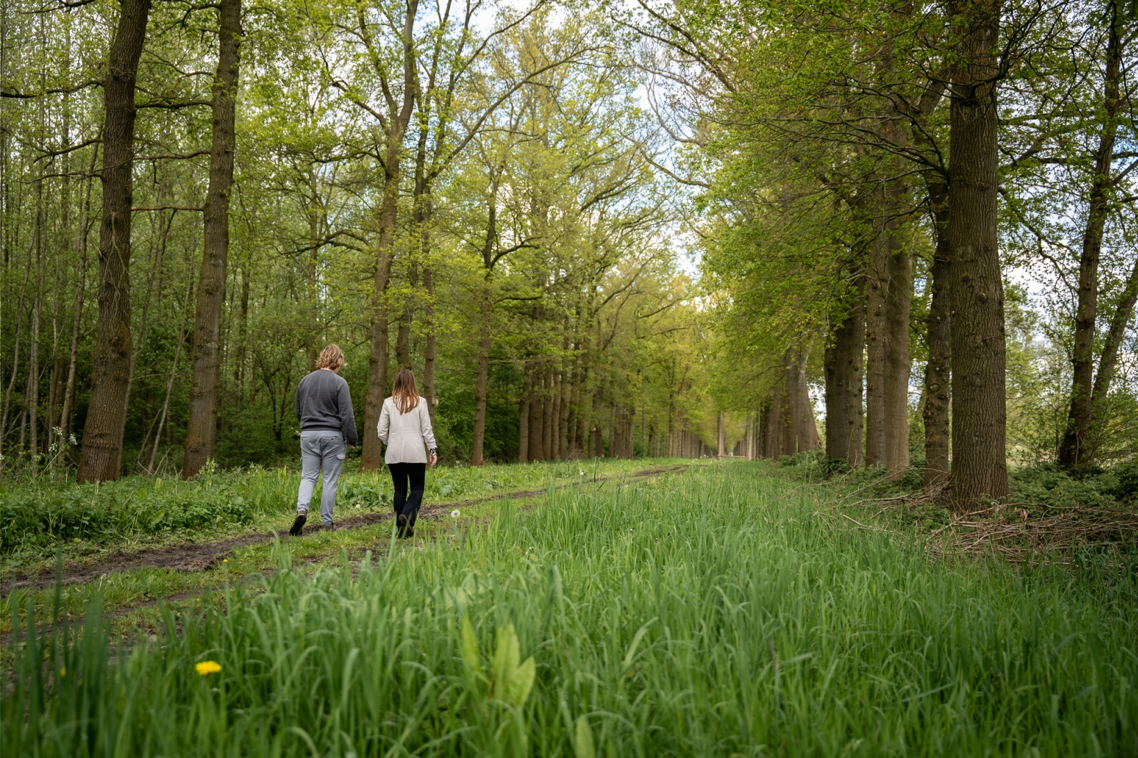 Therapie met dieren en natuur